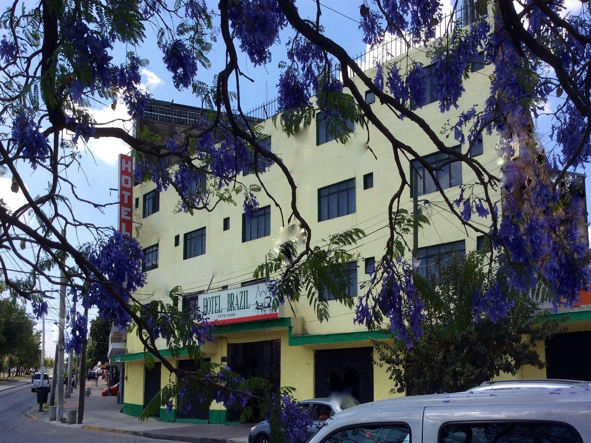 Oyo Hotel Brazil,Guadalajara,Estadio Jalisco Zewnętrze zdjęcie